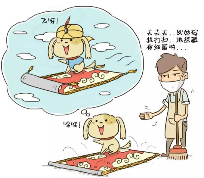 寵物狗地毯上玩耍