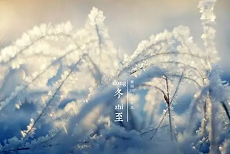 冬至來了，給家里添張地毯吧