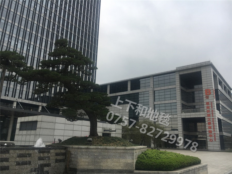 聯(lián)塑領尚環(huán)球之家地毯工程1
