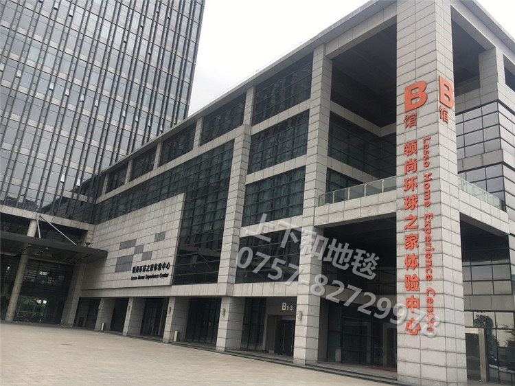聯(lián)塑領尚環(huán)球之家地毯工程2