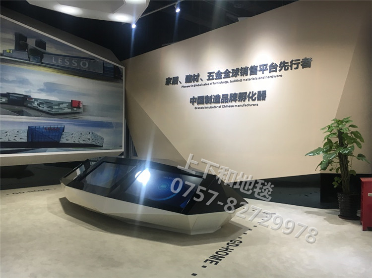 聯(lián)塑領尚環(huán)球之家地毯工程6