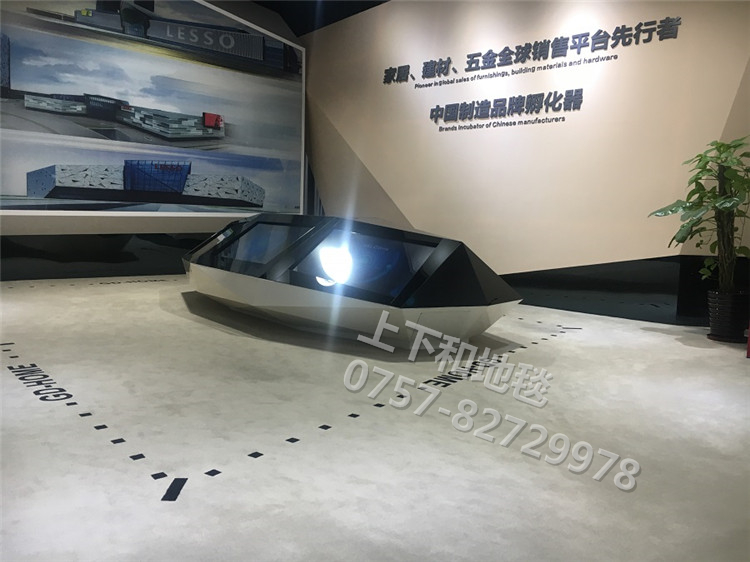 聯(lián)塑領尚環(huán)球之家地毯工程8