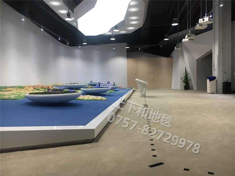 聯(lián)塑領尚環(huán)球之家地毯工程9