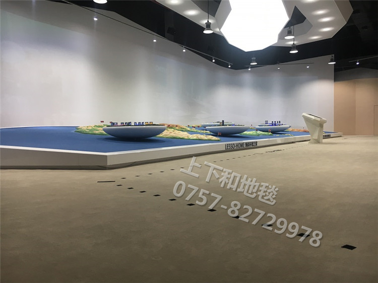 聯(lián)塑領尚環(huán)球之家地毯工程10