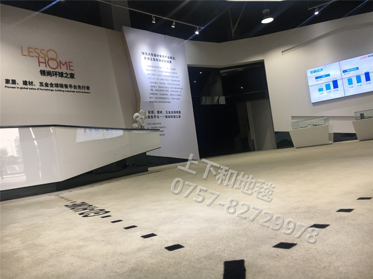 聯(lián)塑領尚環(huán)球之家地毯工程17