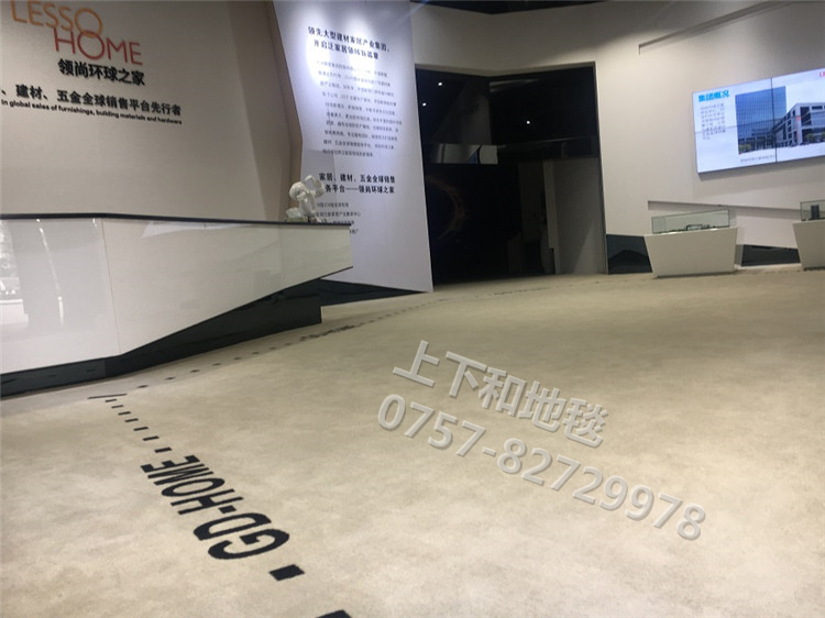 聯(lián)塑領尚環(huán)球之家地毯工程18