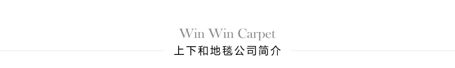 地毯廠家簡介