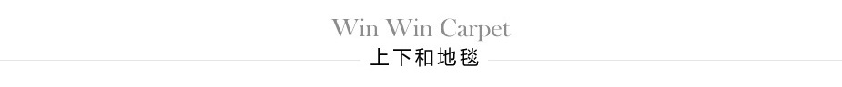 上下和地毯logo圖