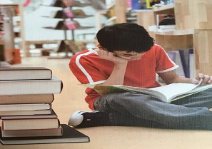 Gerflor系列-圖書館/辦公室pvc卷材地板
