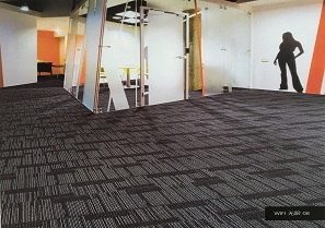 無限系列 辦公室尼龍方塊地毯