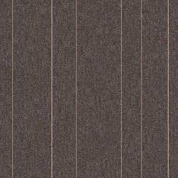 BD 101B7